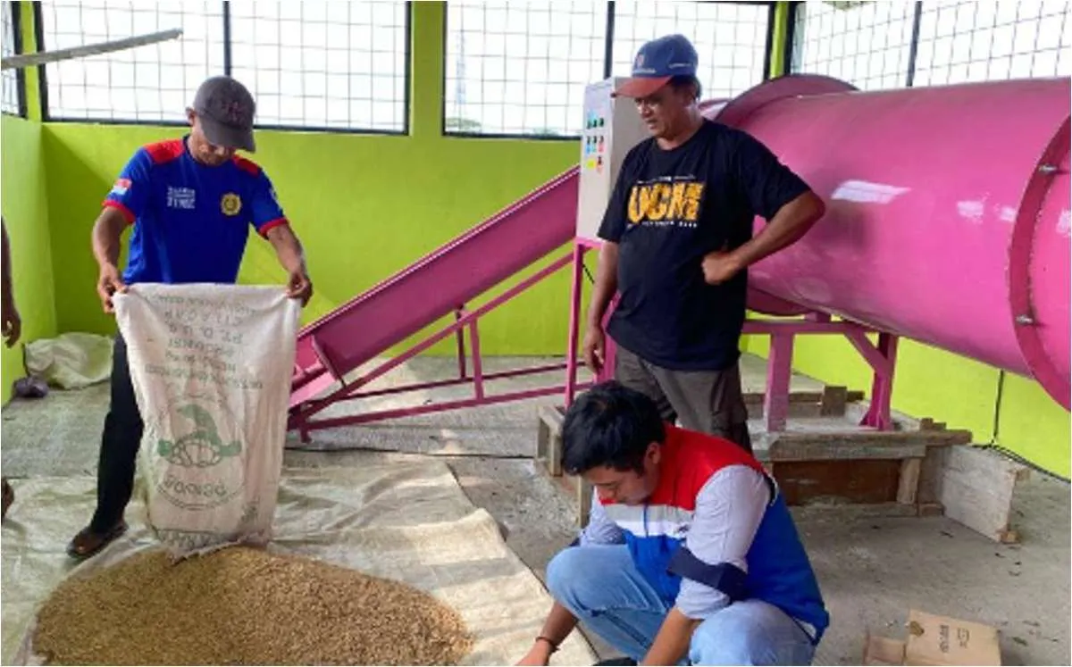 Program Desa Energi Berdikari Pertamina Dorong Produksi Pangan Desa