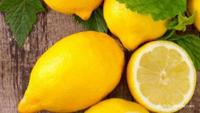 Hanya Perlu Siapkan 3 Bahan, Berikut Cara Menanam Lemon di Cangkir