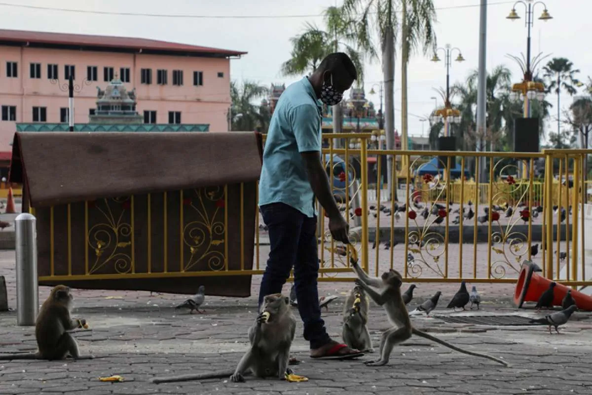 Waspada! Mutasi virus corona yang 10 kali lebih menular terdeteksi di Malaysia