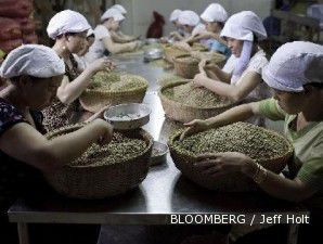 Produksi kopi Indonesia naik, harga kopi global anjlok 