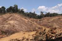 Pakar Hukum: Satgas PKH Tidak Bisa Cabut Izin 28 Perusahaan Imbas Bencana Sumatra