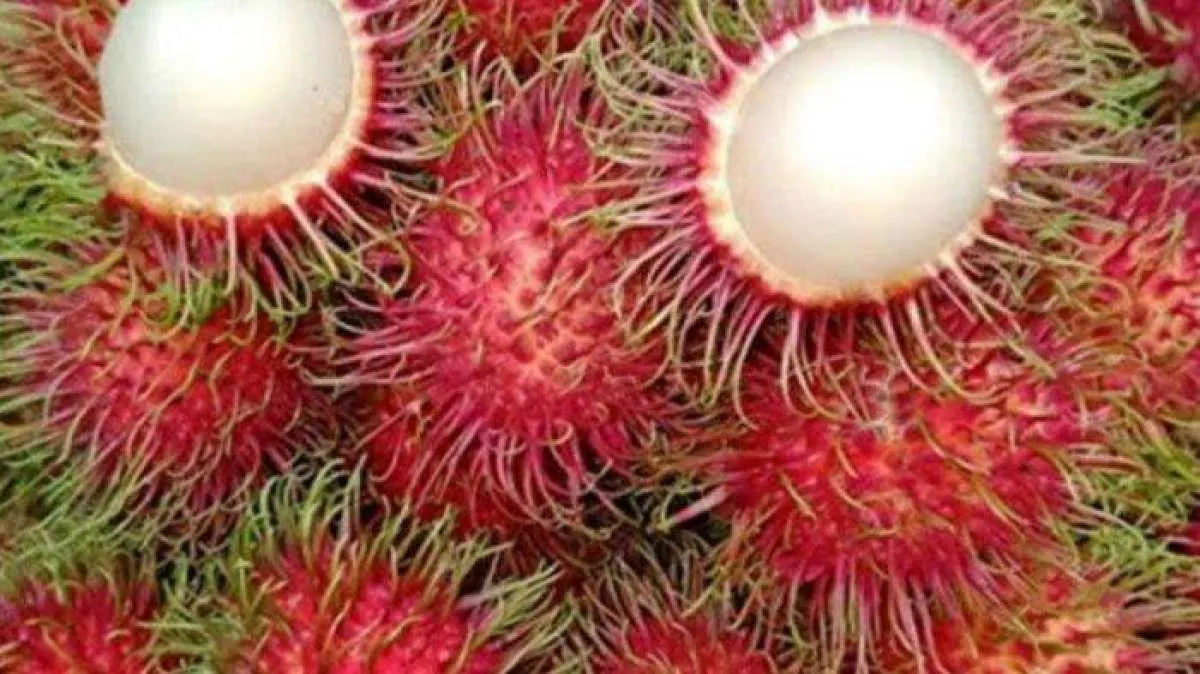 4 Buah yang bisa memicu naiknya kadar asam urat 
