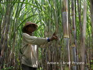 Harga Tetes Tebu Bisa Tembus US$ 150 per Ton