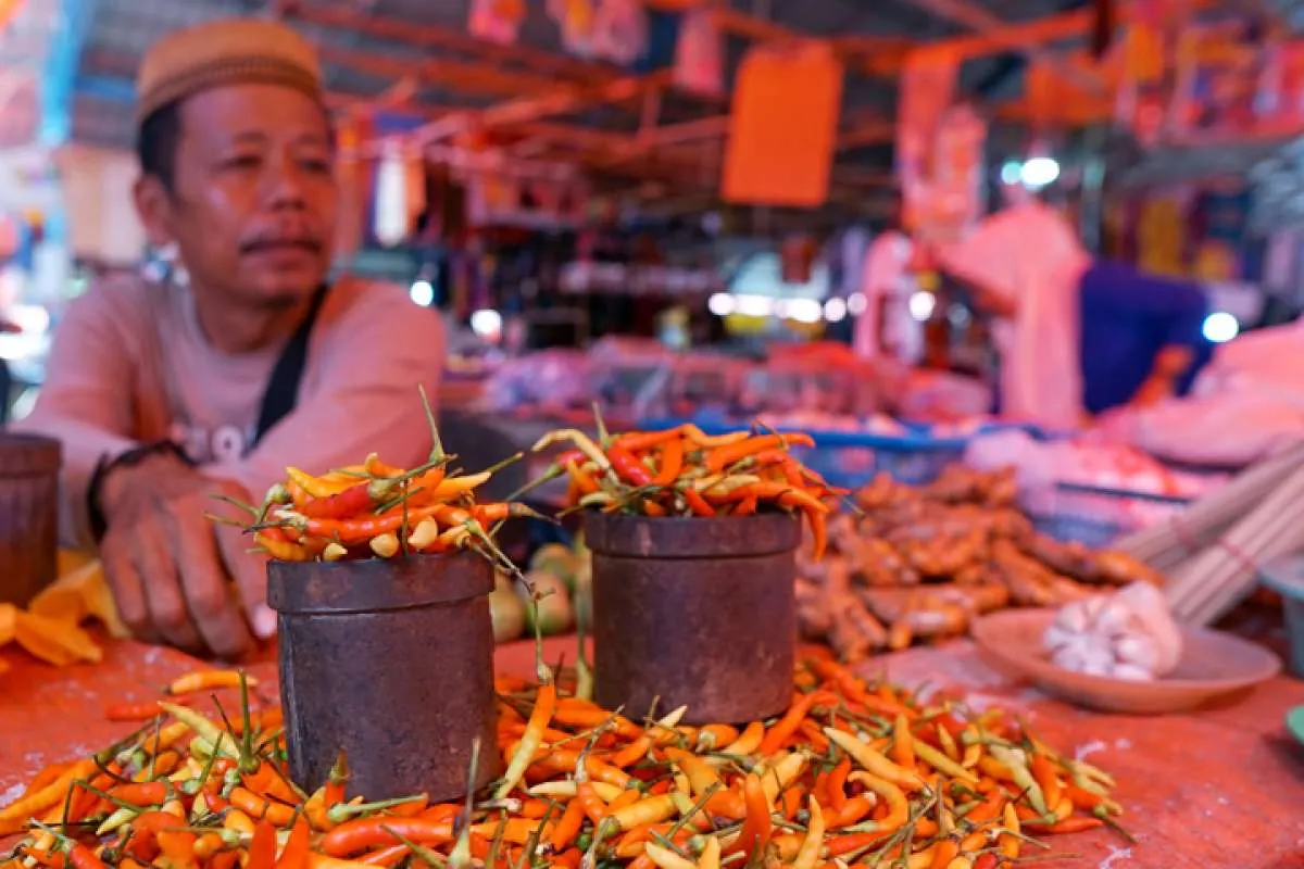Cermati Harga Pangan Terkini di Gorontalo, Cabai dan Daging Ayam Naik, Kamis (2/1)