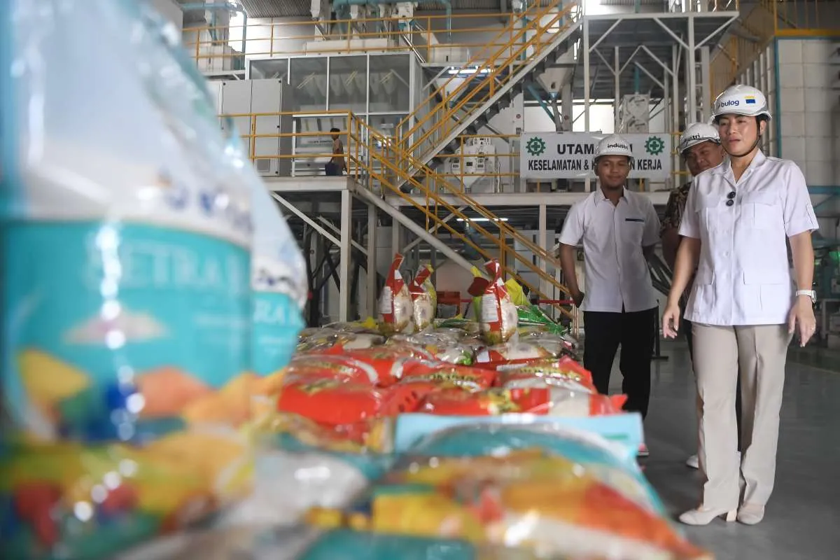 Program Bantuan Pangan Berlanjut Dua Bulan Depan, Setiap KPM Diusulkan Terima 20 Kg