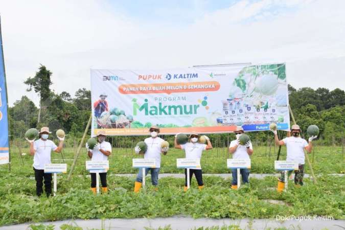 Program Makmur Pupuk Kaltim dorong produktivitas pertanian buah di Kutai Kartanegara
