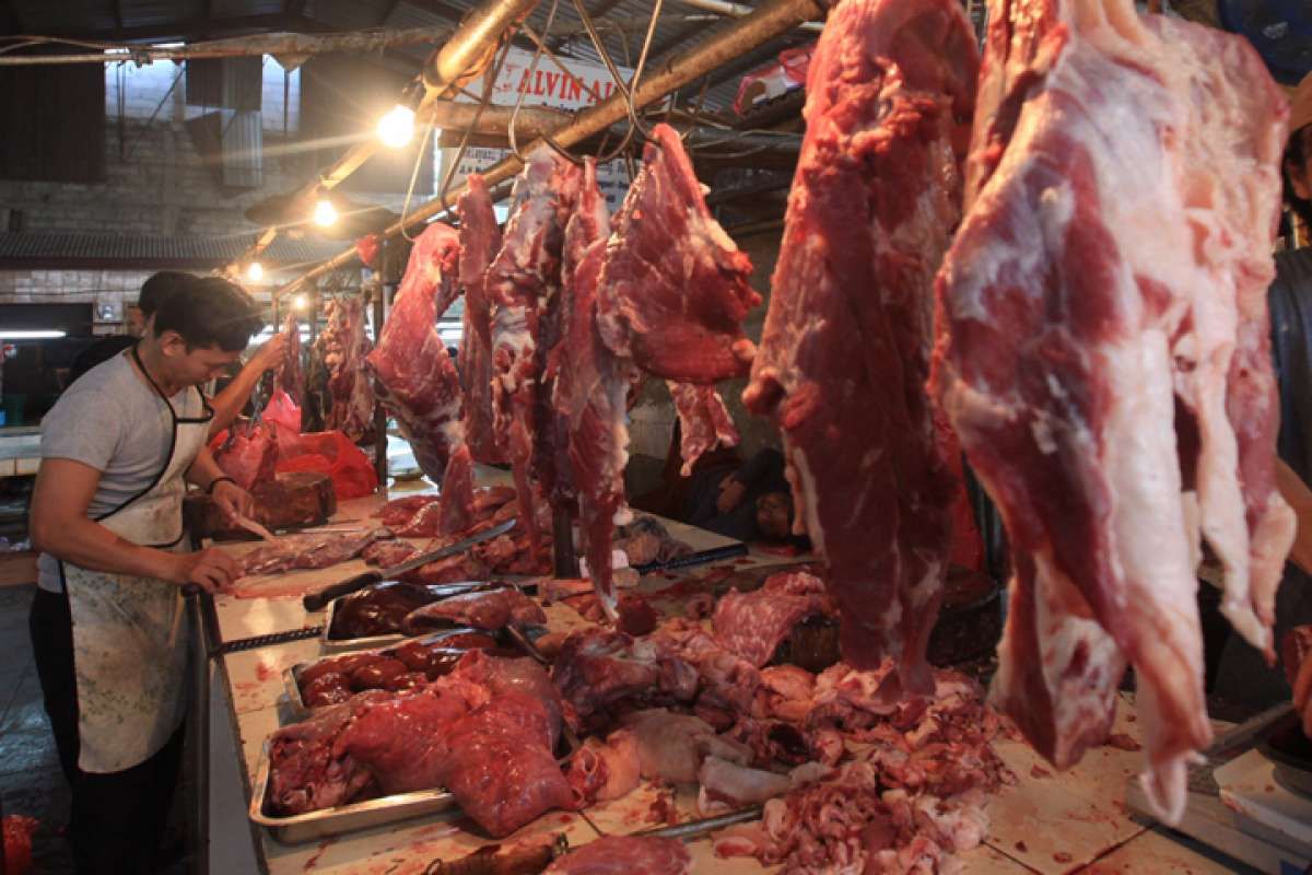 Harga daging sapi masih stabil