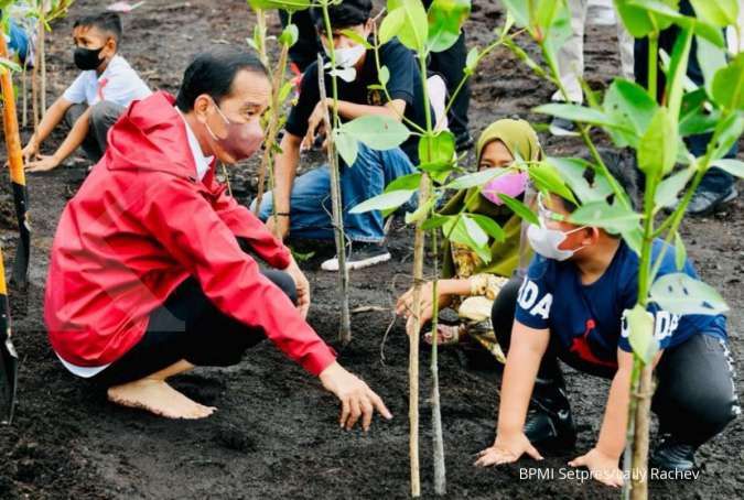 Rehabilitasi mangrove di Riau, Jokowi berharap bisa dukung ekonomi masyarakat