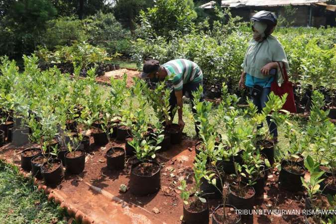 Peruri sebar 3.100 bibit pohon buah ke Kabupaten Karawang