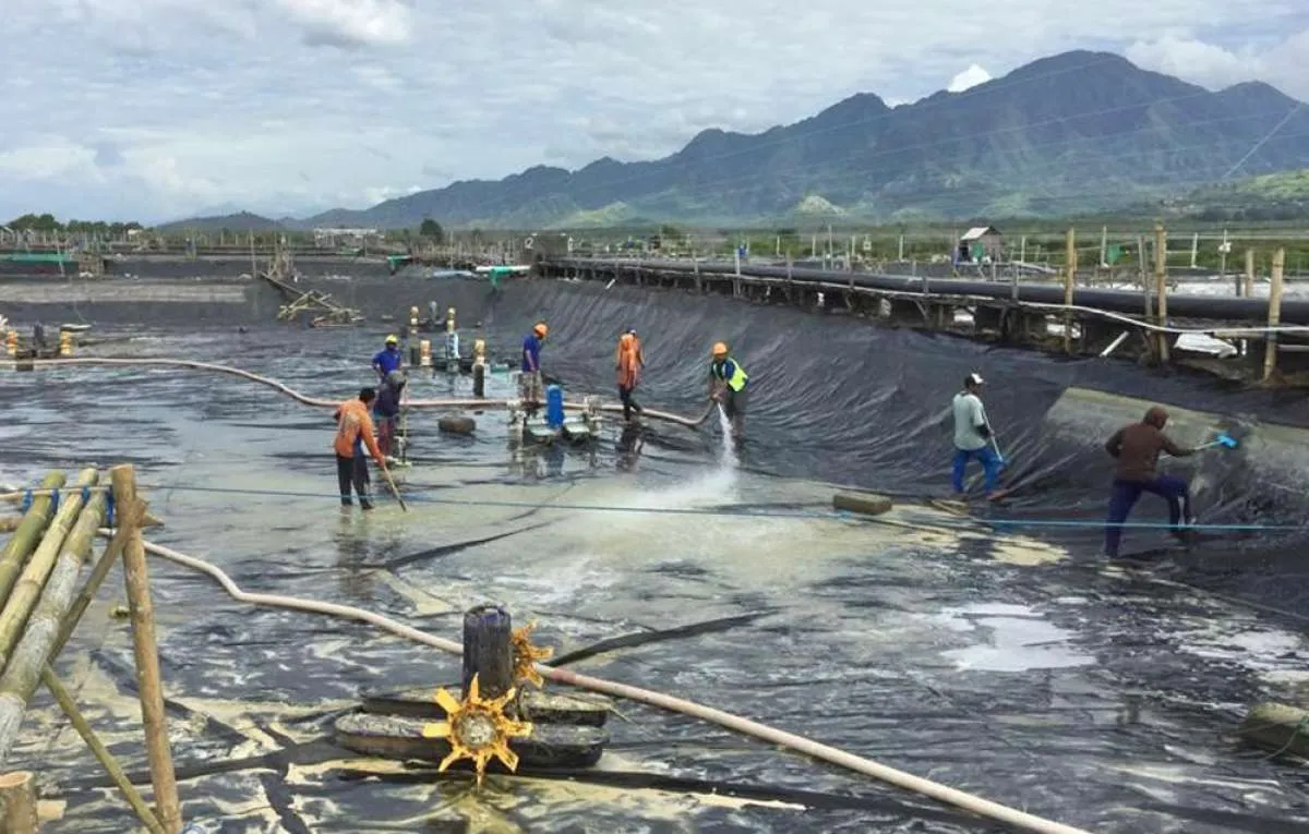 Simak Rencana Pengembangan Bisnis Agung Menjangan Mas (AMMS) Pasca IPO