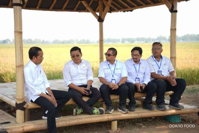 Pastikan Produksi Padi di Tengah El Nino, Jokowi Tinjau Panen Benih Unggul ID FOOD