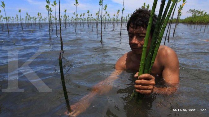 Antam tanam 50.000 mangrove di Kep Seribu