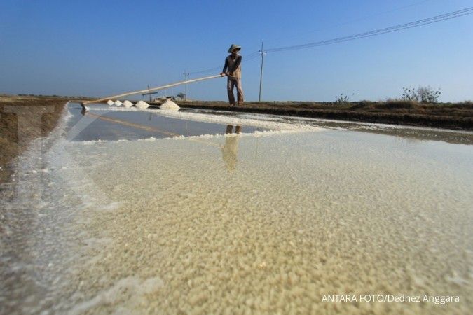 Indonesia ditargetkan tak impor garam tahun 2020