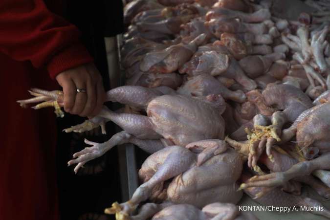 Harga Pangan di Kalimantan Tengah 8 November 2024: Daging Ayam, Cabai, dan Telur Naik