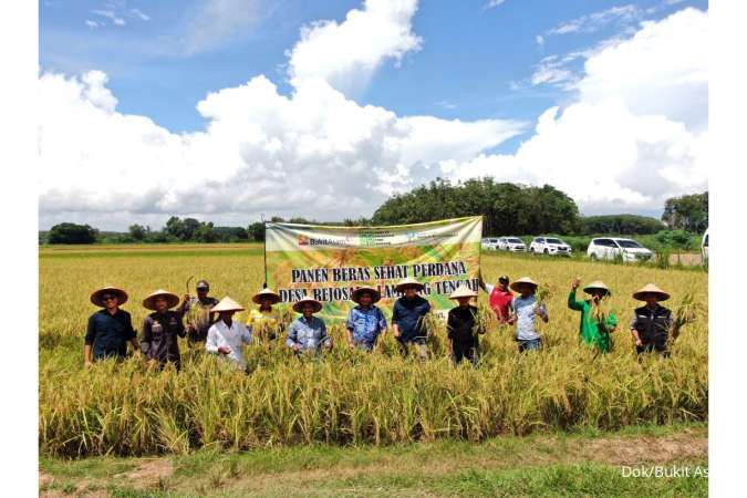 Kontan - Bukit Asam Kilas Online
