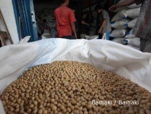 Produksi kedelai Brasil bisa turun 60% akibat serangan hama