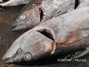 Volume penangkapan ikan tuna terus menurun
