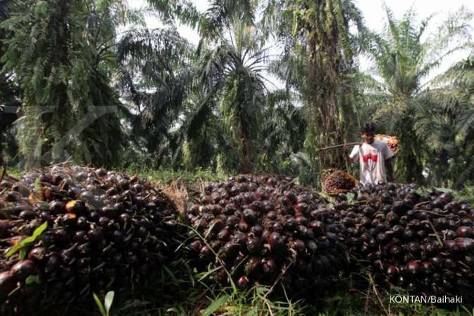 Malaysia to file WTO complaint on EU's palm oil curb by November
