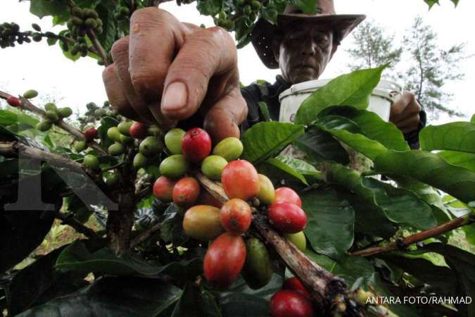Hambatan logistik pengaruhi kinerja ekspor kopi di tengah pandemi