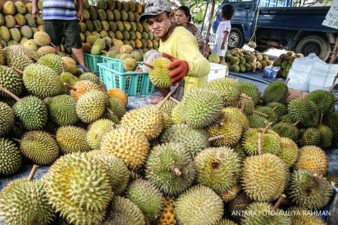 Nilai Ekspor Durian Indonesia Kalah Jauh dari Impor Malaysia dan Thailand