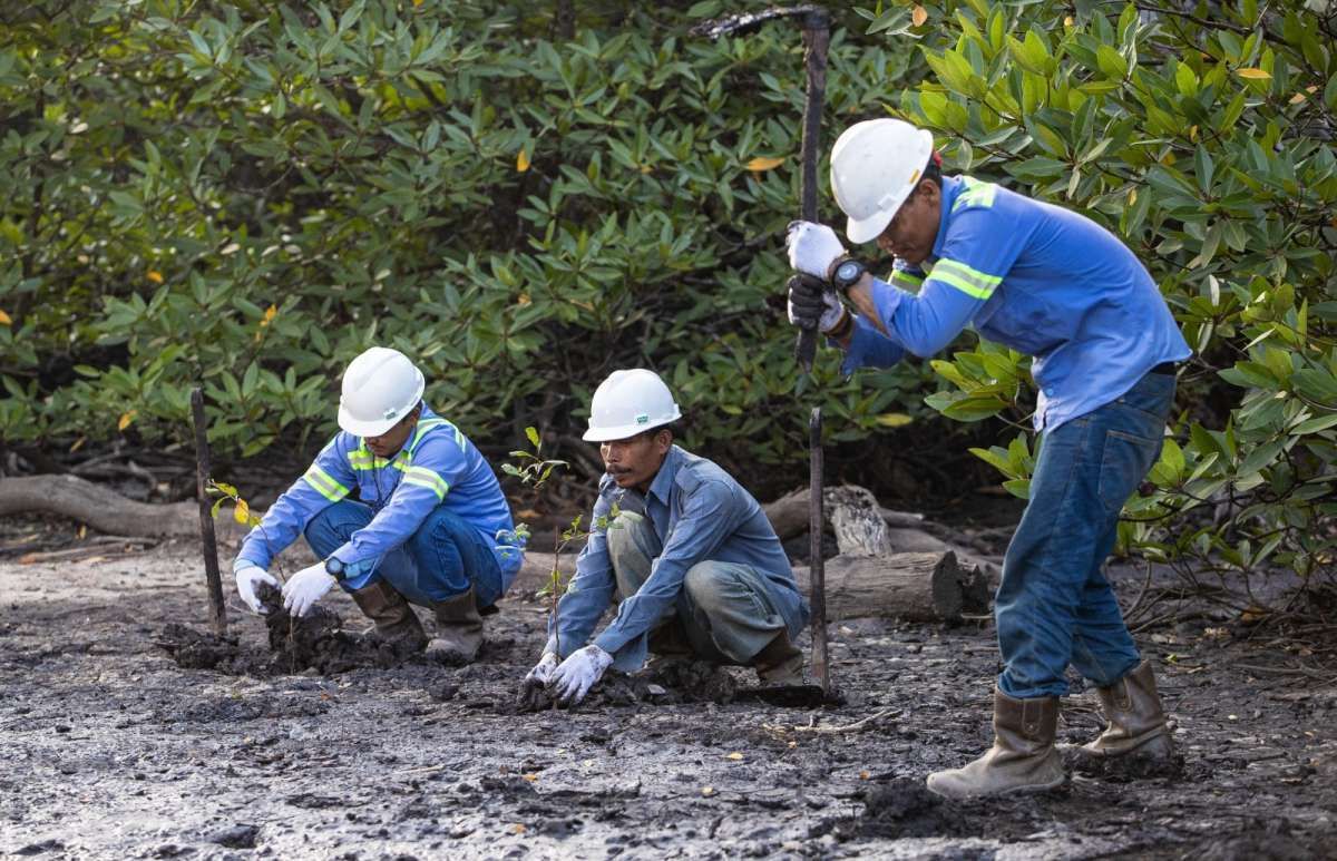 Pendapatan Anjlok 12,5%, Laba ABMM Terjun Hingga 62,1%