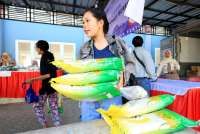 Bantuan Beras 30 Kg Cair Mulai 17 Agustus, Ini Jadwal dan Cara Cek Penerimanya