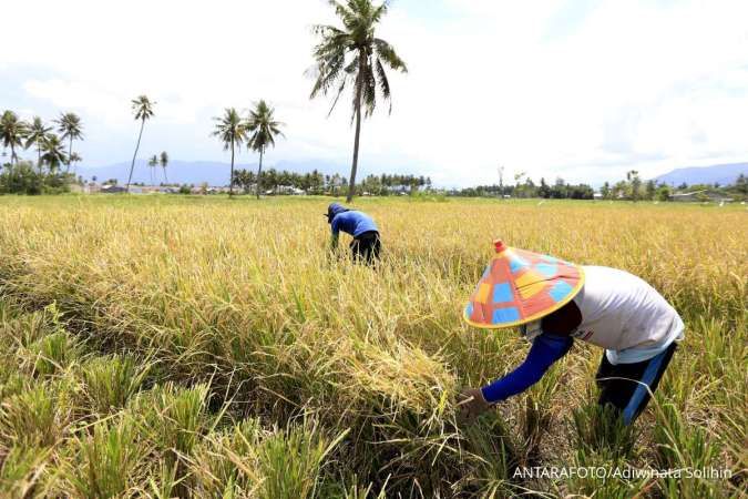 Agar Ekonomi Tumbuh 5% pada Kuartal II-2025, Pemerintah Perlu Mendorong Sektor Ini 