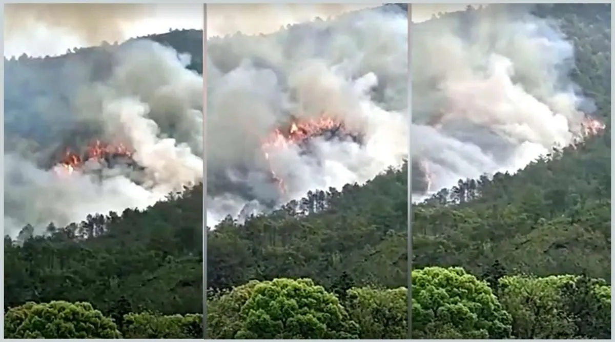 Pesawat China Eastern Airlines Jatuh di Pegunungan, Bawa 132 Orang