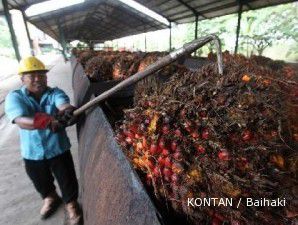 Setelah 5 hari melemah, harga CPO menguat 1,4%