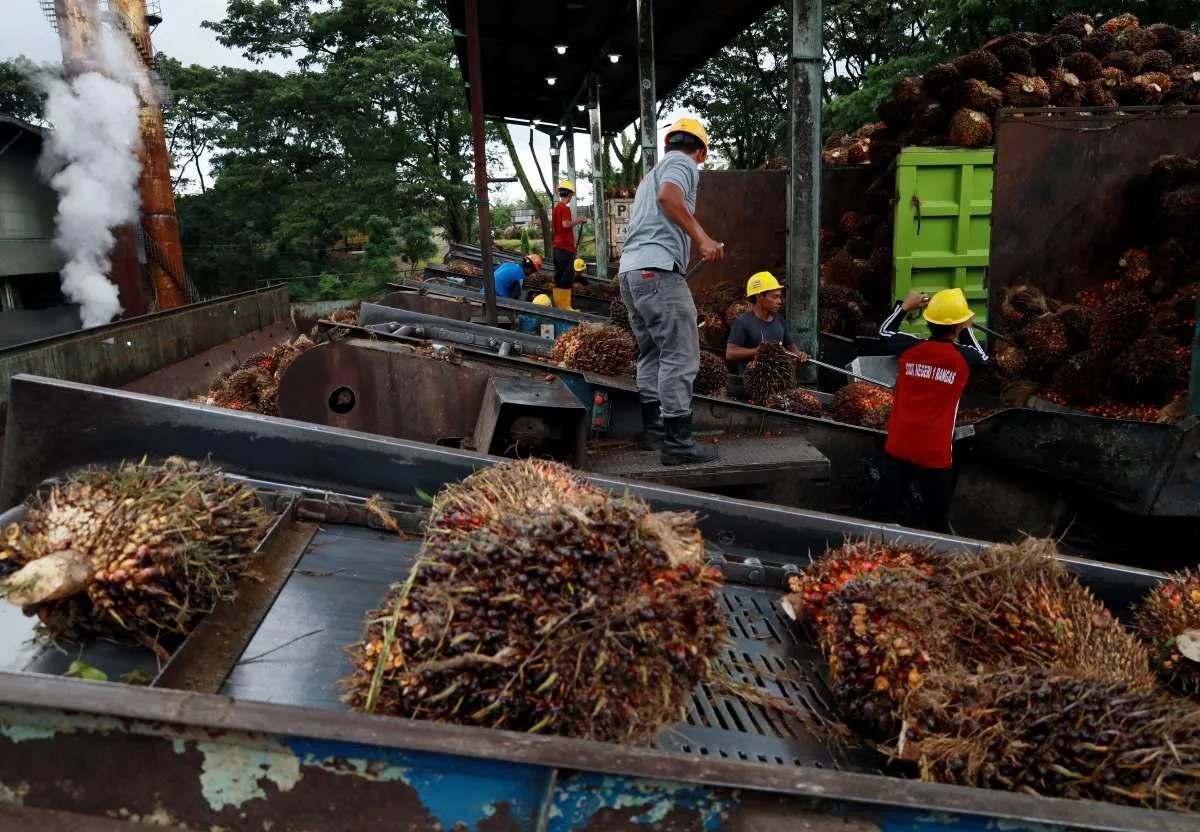 Harga CPO Berpotensi Fluktuatif, Permintaan India dan China Tetap Kuat