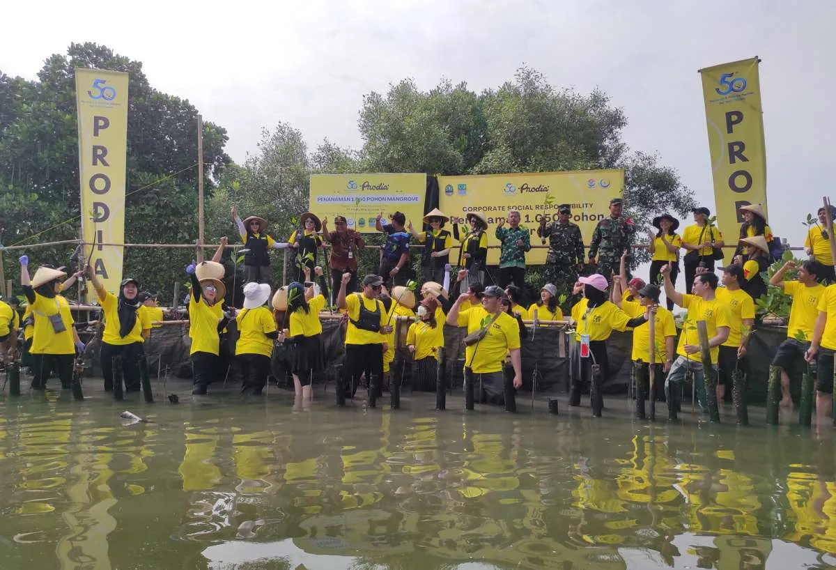 Komitmen ESG, Prodia Widyahusada (PRDA) Tanam Lebih 1.000 Mangrove 