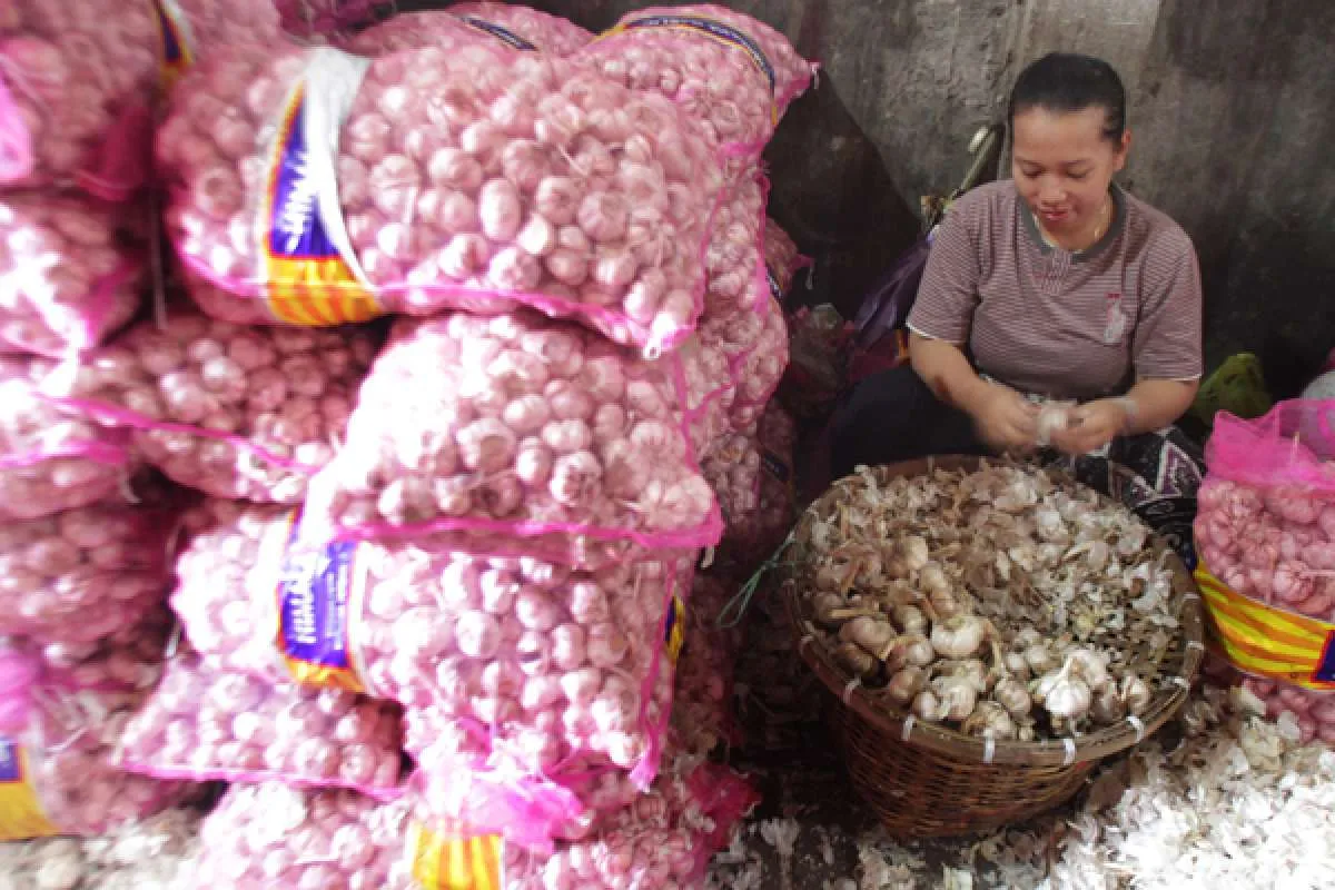 Harga bawang putih naik, pemerintah disarankan tidak bergantung dari impor China