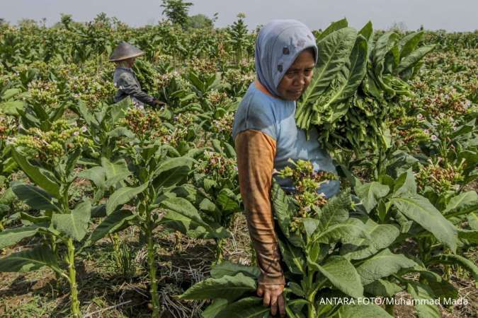 Jaga Kedaulatan Petani Tembakau, DPN APTI Titipkan 5 PR ke Pemerintahan Prabowo