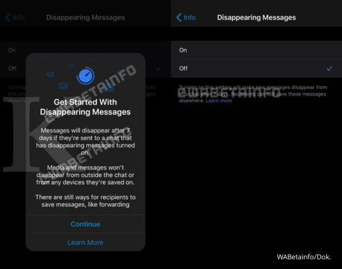 Disappearing Message - Whatsapp; Credit: WABetainfo