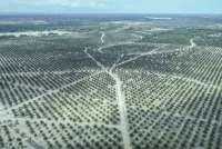 Kemenkes Pastikan Pemulihan RSUD Aceh dan Sumatra Pasca Bencana Terus Dikebut