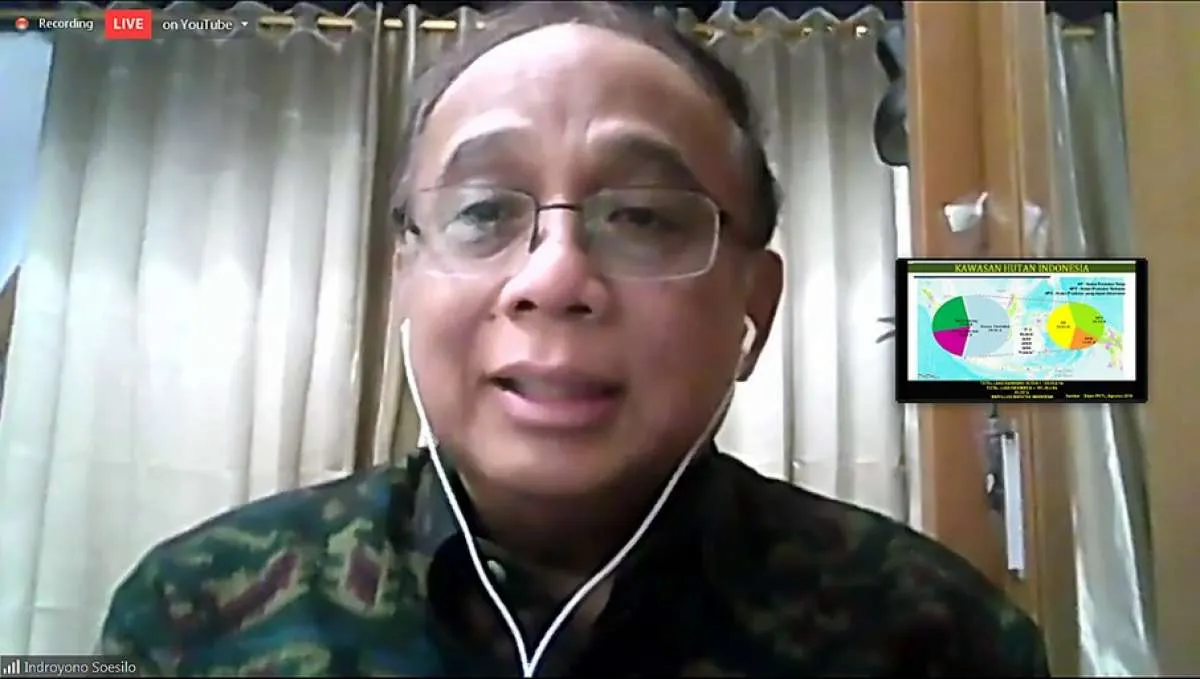 Strategi pelaku usaha tingkatkan penjualan kayu ke luar negeri