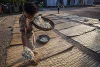 Sebanyak 65 Kampung Nelayan Mulai Digarap