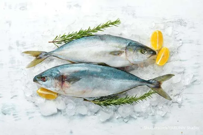 Konsumsi Ikan Tuna pada Pasien Asam Urat, Cek Tips Lengkapnya di Sini Ya! 