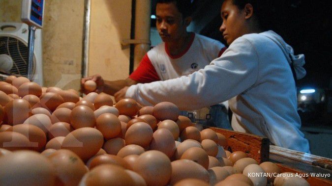 Harga telur ayam ras menyentuh Rp 20.000 per kg