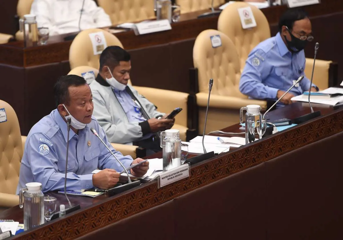 Menteri Edhy: Lobster di Indonesia bisa bertelur hingga 27 miliar