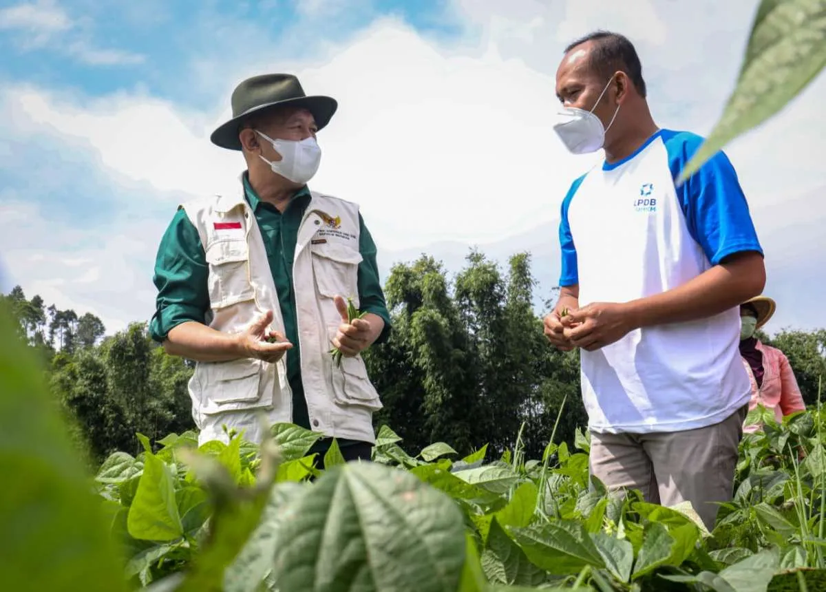Dorong ekspor hasil pertanian, MenkopUKM Teten Masduki resmikan Tani Bangga Store