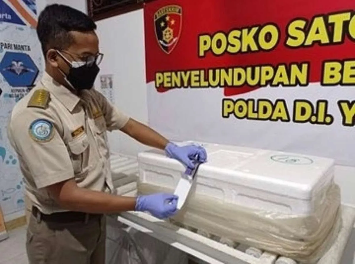 Jokowi Bentuk Badan Karantina Indonesia, Berikut Kata AEPI