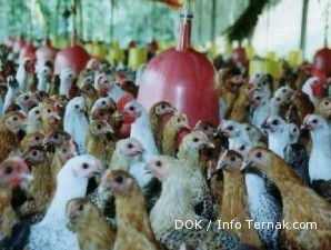 Dividen yang dibagikan CPIN senilai Rp 652,64 miliar