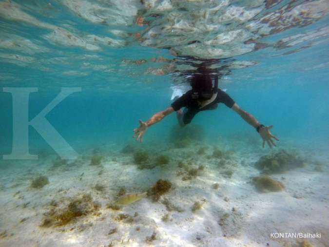 2.671 Substrat Karang  Disebar di Kepulauan Seribu Guna Pulihkan Ekosistem Pesisir