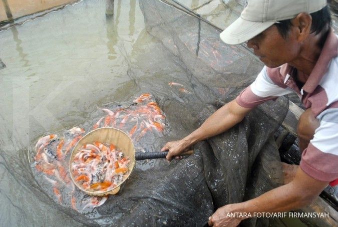 KKP berikan bantuan untuk nelayan dan pembudidaya ikan di Indramayu