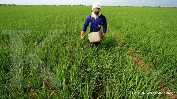 WTO jadi ancaman swasembada pangan Indonesia