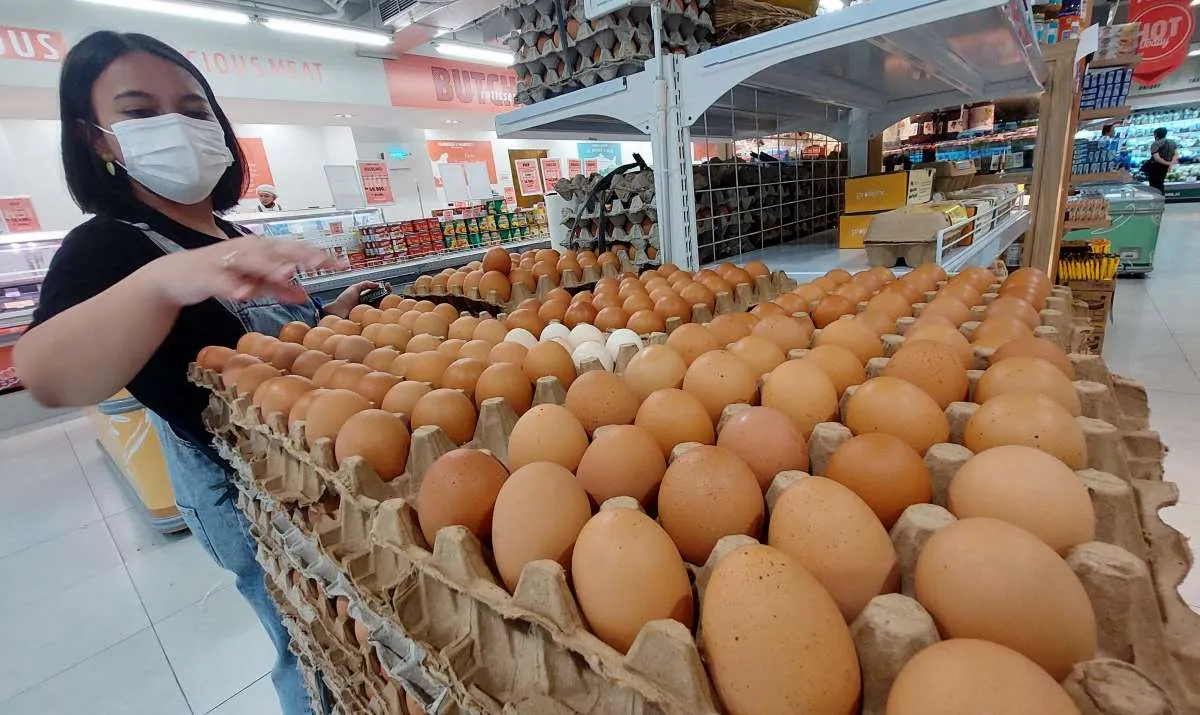 Ini Kata Badan Pangan Nasional Soal Fluktuasi Harga Telur dan Ayam
