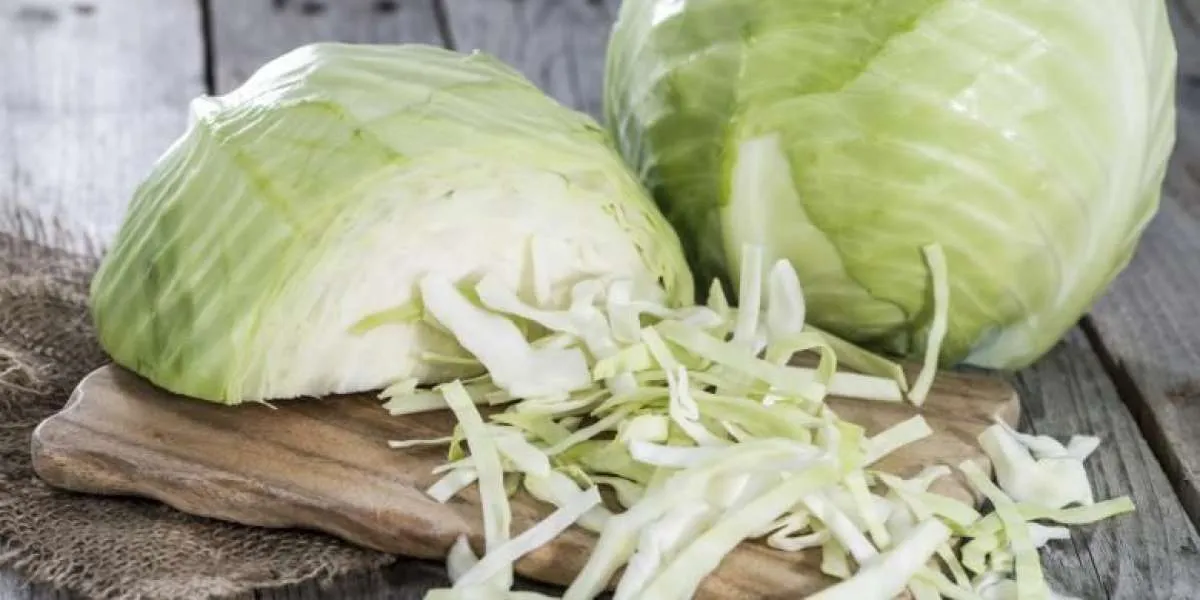 Jus kubis efektif menurunkan kolesterol tinggi bila dikonsumsi secara rutin