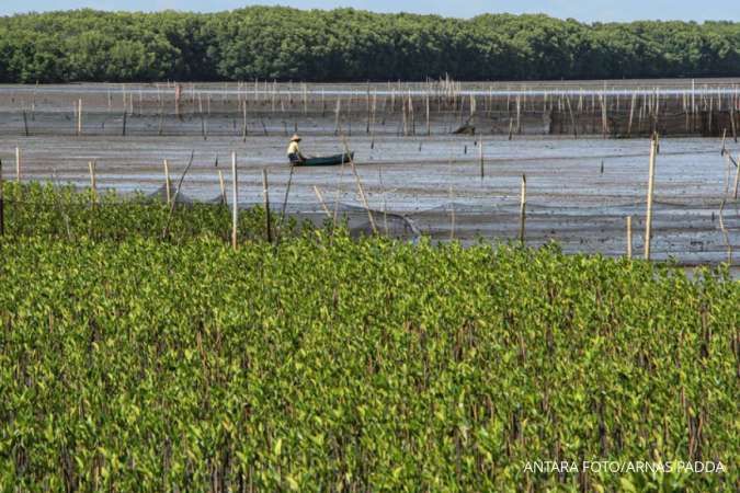 Apa itu lahan basah?
