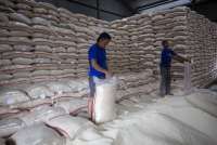 Pemerintah Memangkas Program Bantuan Beras